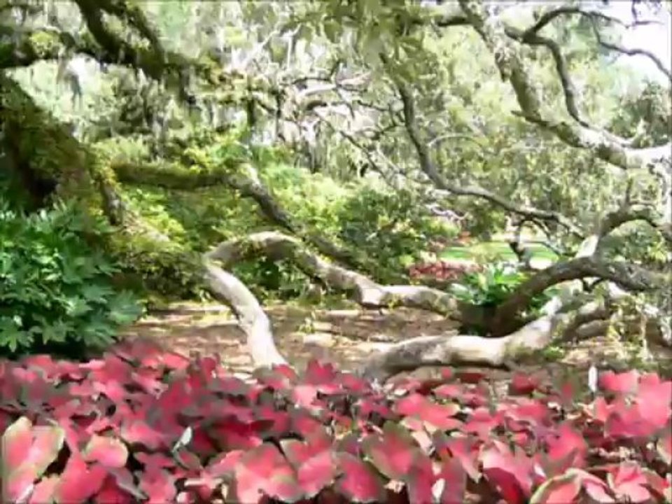 Brook-Green parc