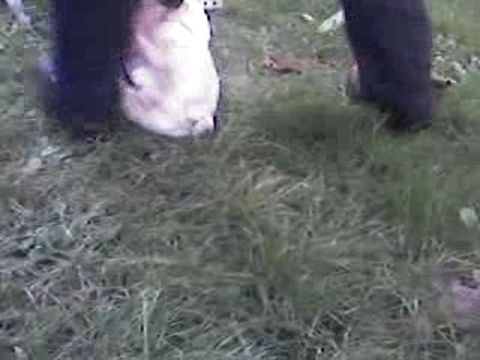 LUCIEN ET RAOUL AUX BUTTES CHAUMONT