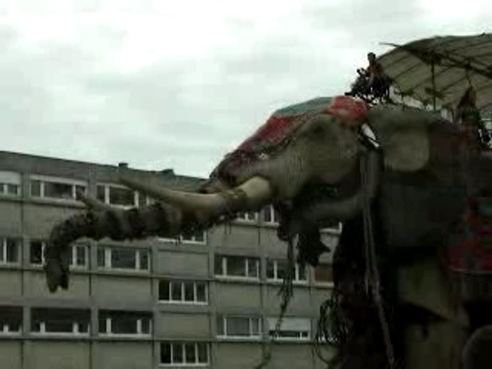 Barissement de l'éléphant