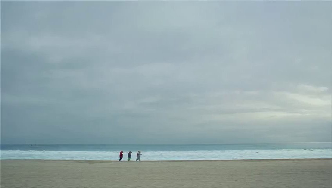 2014 Kia Soul Hamster Commercial (Lady Gaga "Applause" Official)