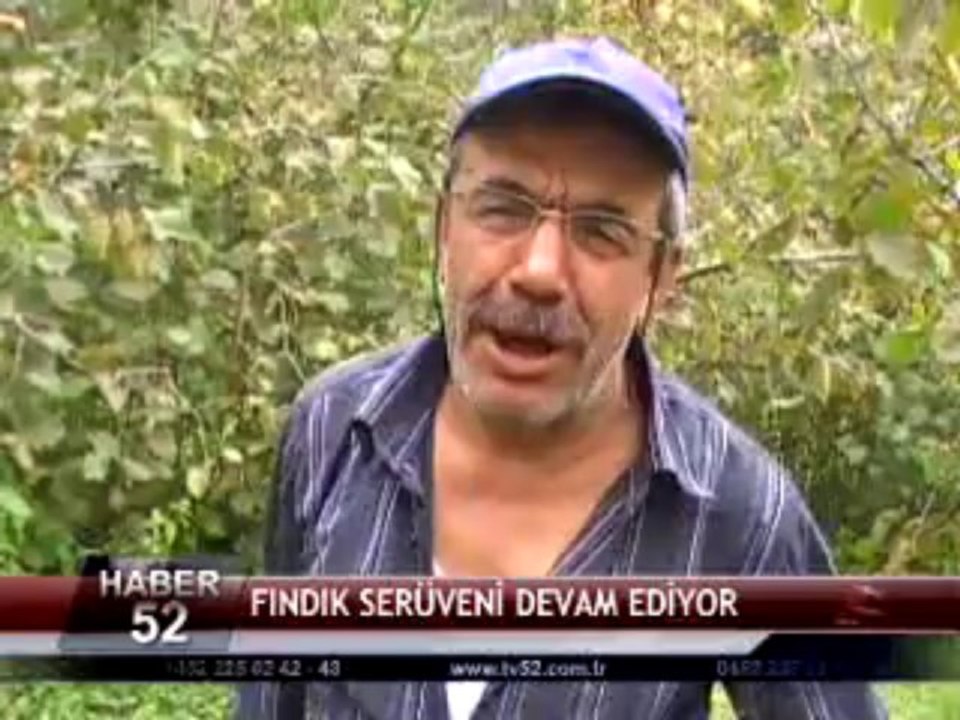 ORDU DA FINDIK SERÜVENİ DEVAM EDİYOR -23.08.2013