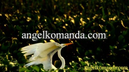 ЛЮБВИ ВАМ мудрость