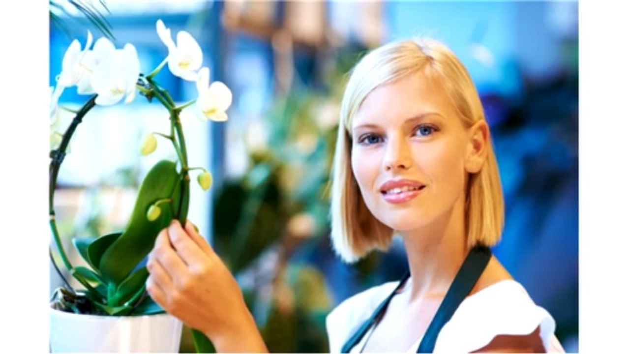 Los Angeles POS Systems 310-755-7737 merchant pos systems