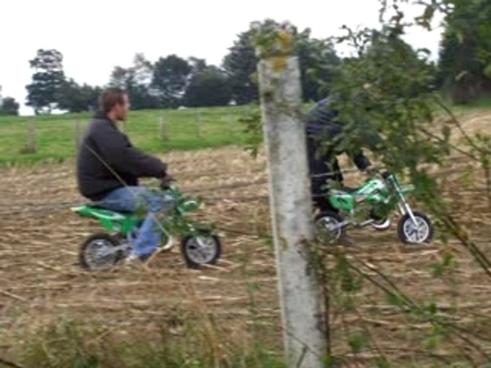 pocket bike dans un champs de maïs
