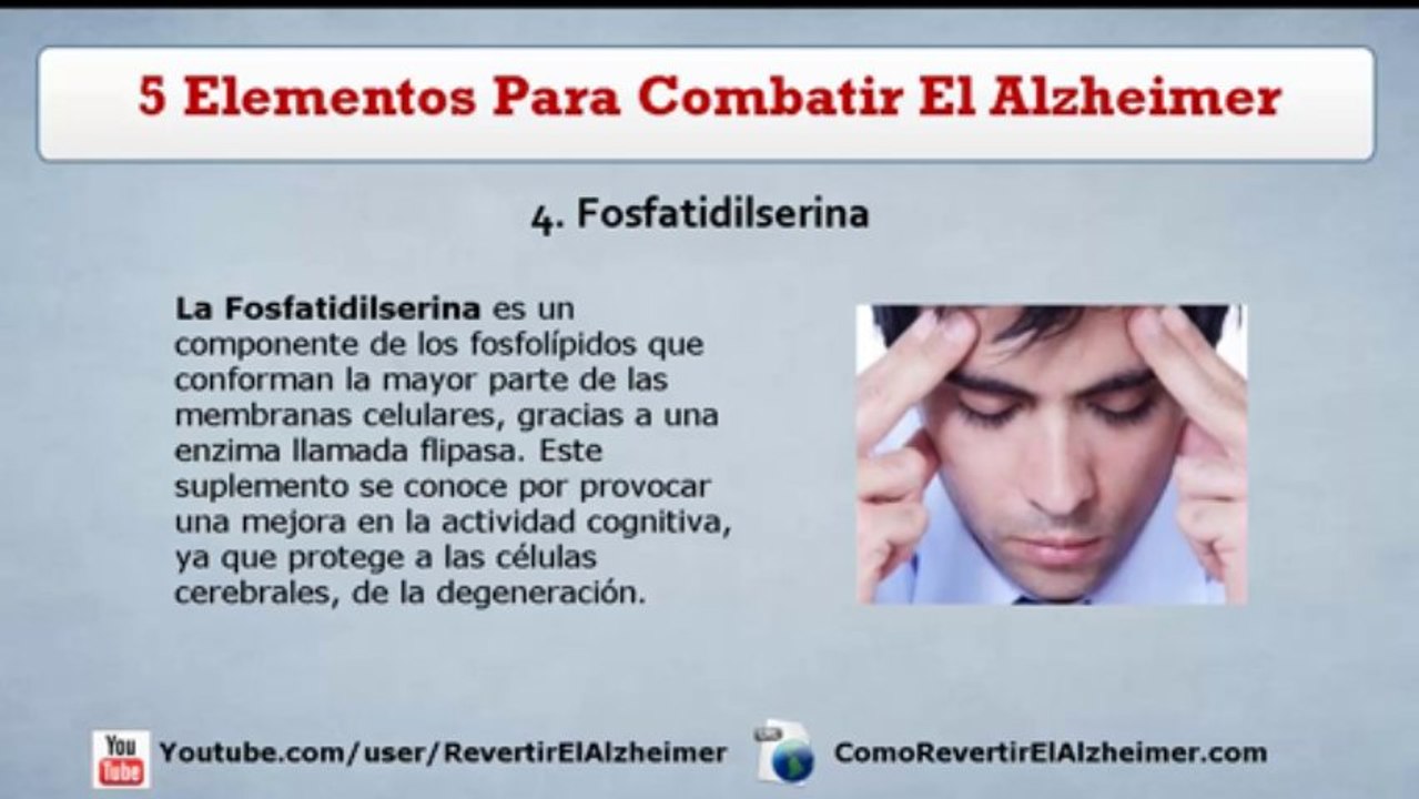 5 Elementos Para Combatir El Alzheimer