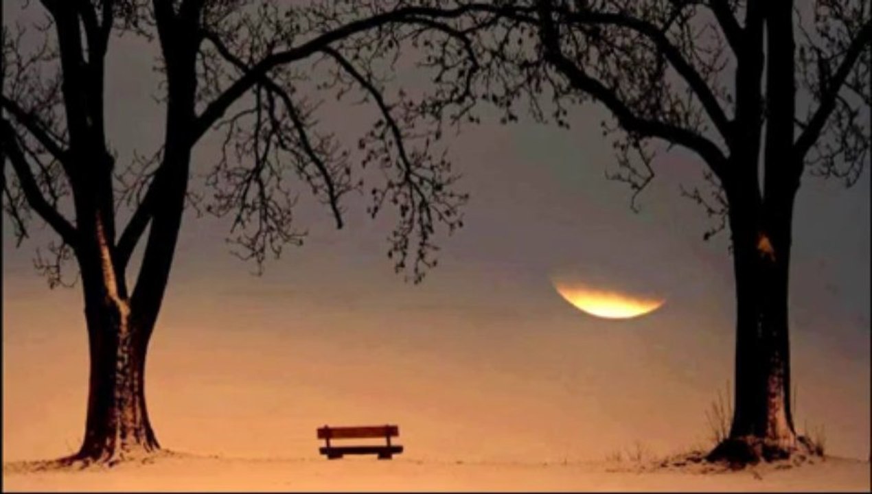 Sonsuza yazdık-Erdal Güney