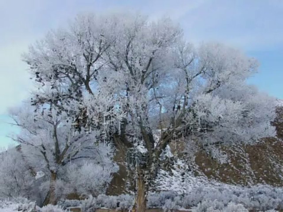 zafer aracagök zerdüşt