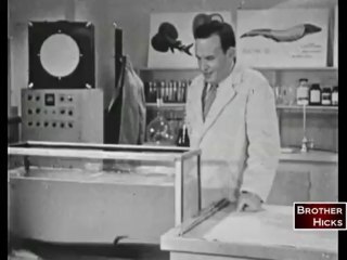 Electric Eel (1954) - Moody Institute of Science