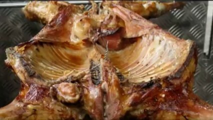 Robin Food (Bonito con tomate y salsa de acelgas)