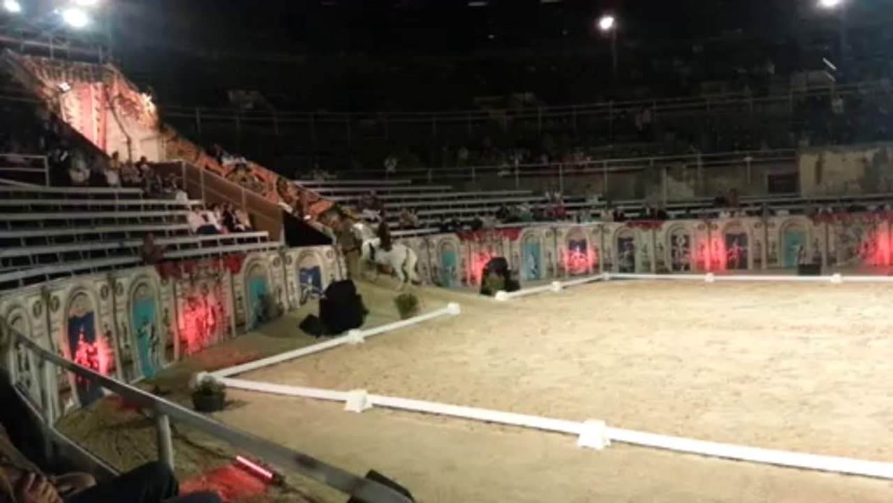 ecole equestre espagnole de Vienne