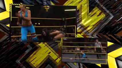 Aj Lee vs Bayley Divas Championship Match