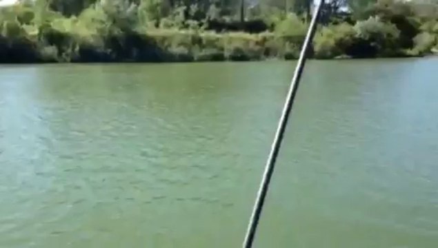 Pêche en bateau carpe de 8,700kg