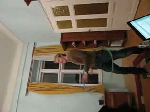 Concours de Hool-Hoop n°1