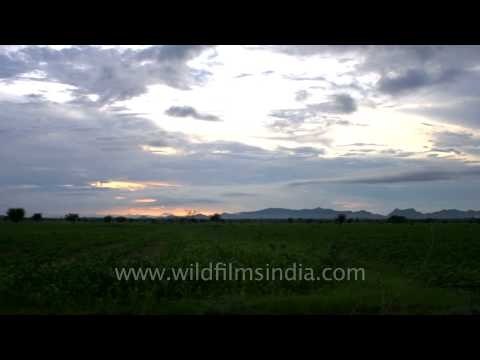 Sun sets over green fields in Sonkhaliya