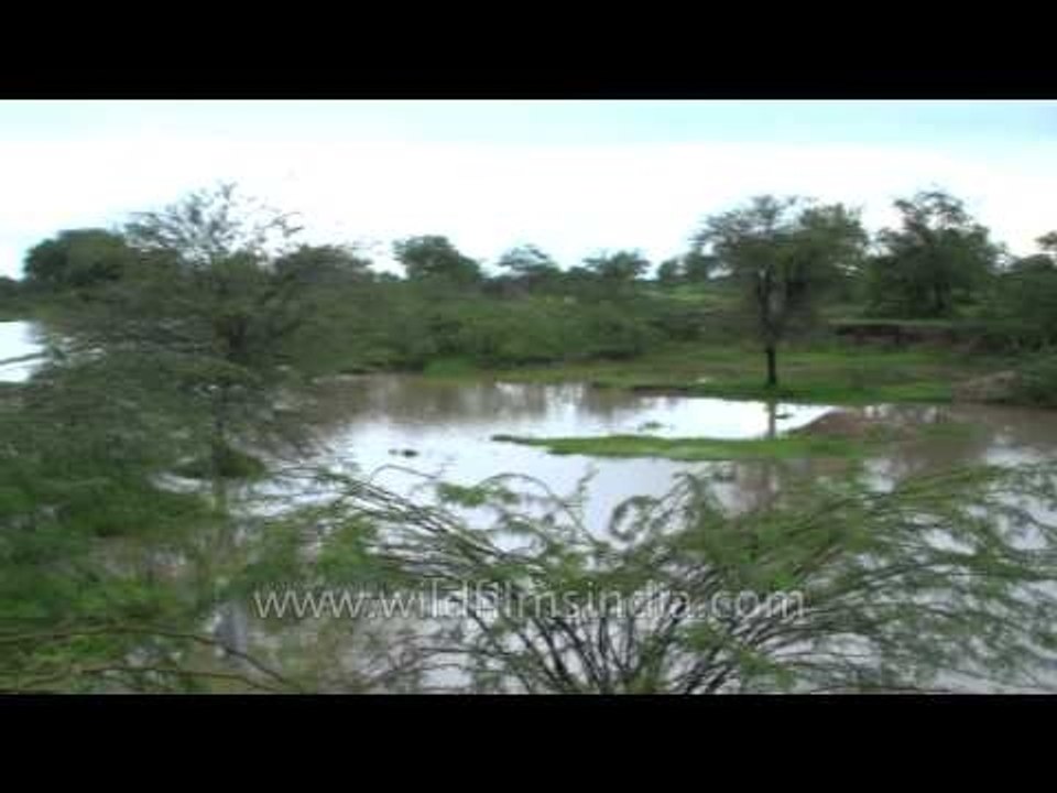Floods in Rajasthan: Surprising but true