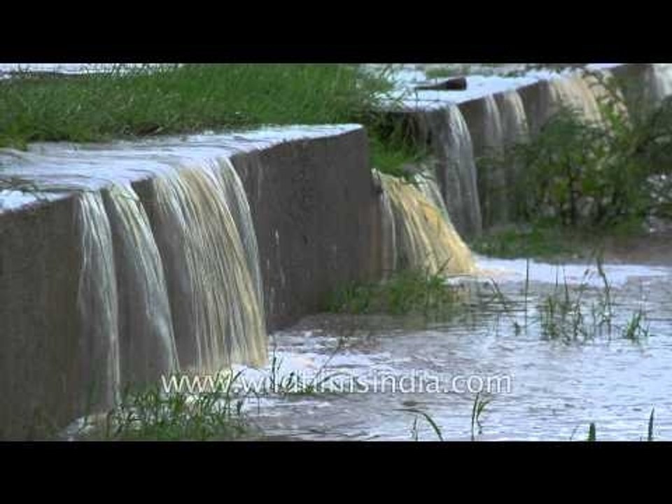 Flood water overflows with effect: Sonkhaliya monsoon