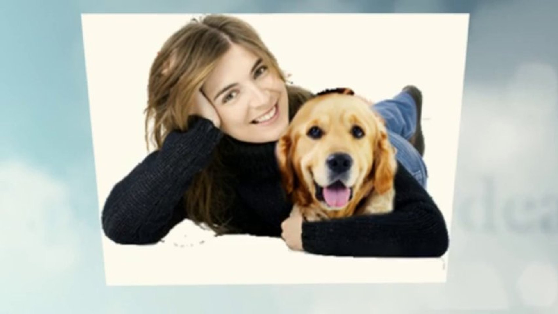 ⁣Best Pet Insurance Deal For Your Pets
