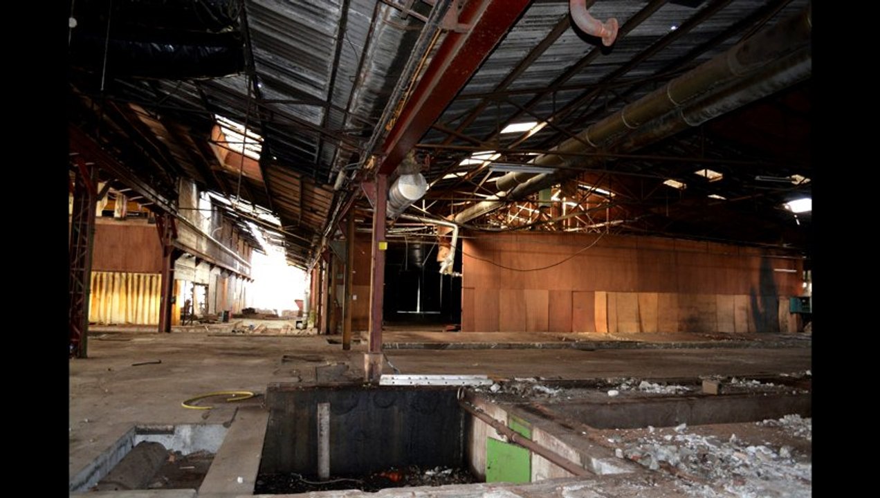 Urbex - L'usine du chat