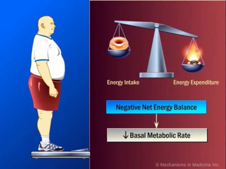 How Does Exercise Impact Weight Loss?