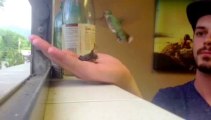 Rescue Baby Hummingbird fed by a man! Awesome