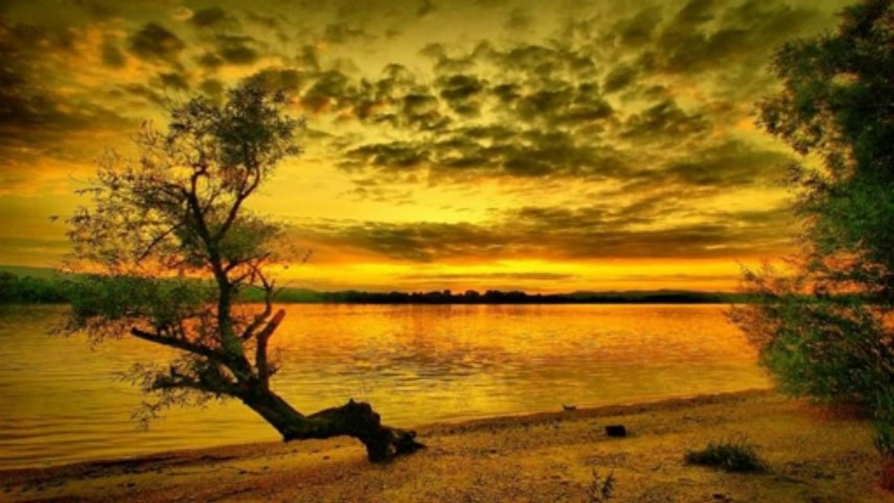 DOGA - NATURE (PP-720p)