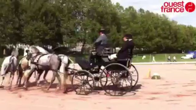 Épreuves préparatoires des Jeux équestres mondiaux - Attelage