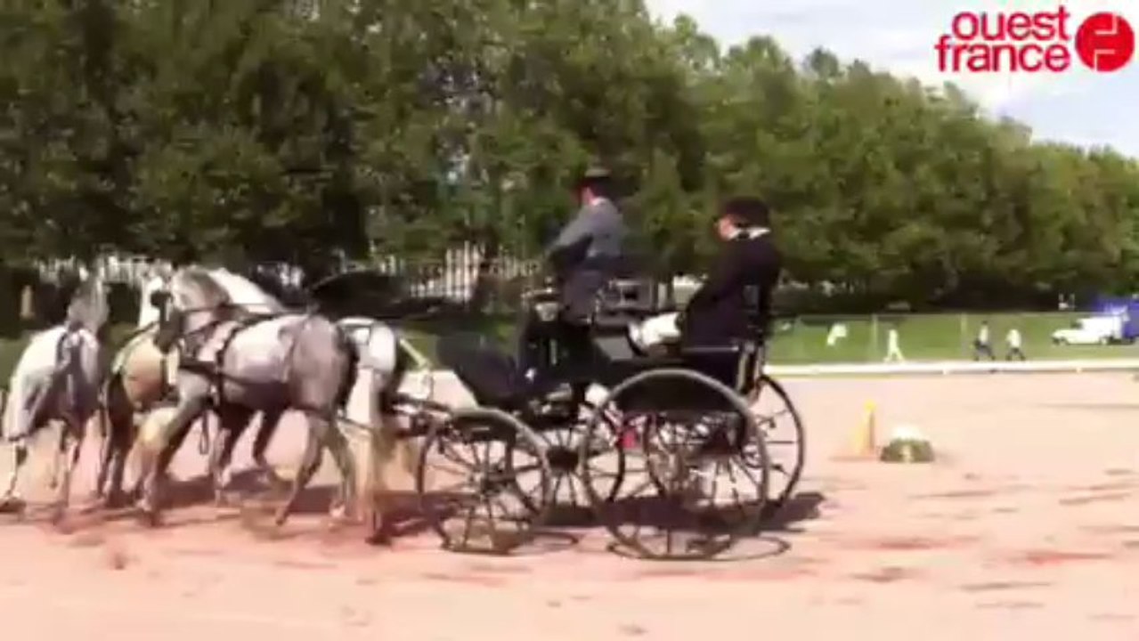 Épreuves préparatoires des Jeux équestres mondiaux - Attelage