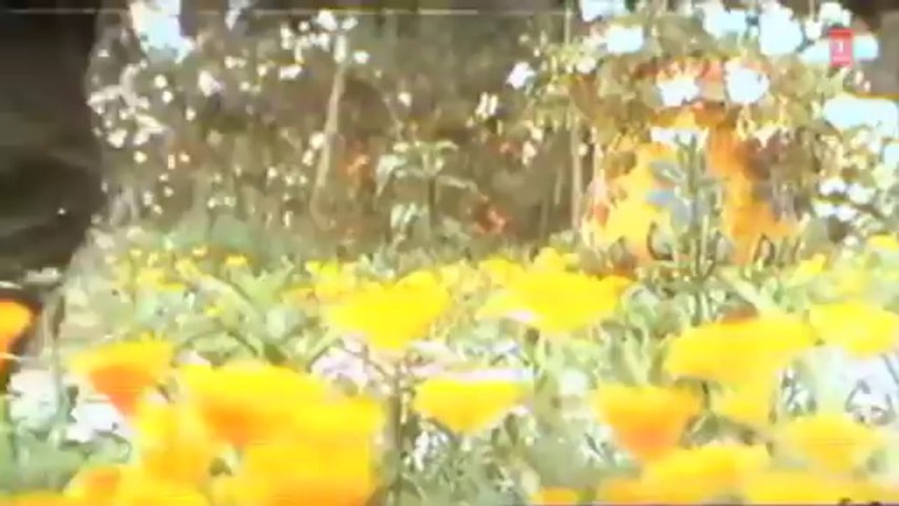 Hathkadhiyan Pahenungi Full Song _ Insaaf Kaun Karega _ Dharmendra, Rajnikant, Jayaprada