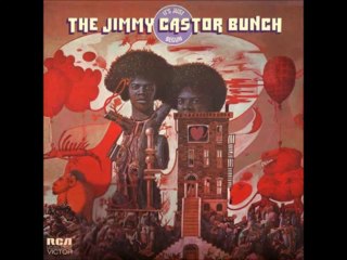 THE JIMMY CASTOR BUNCH - Its just begun