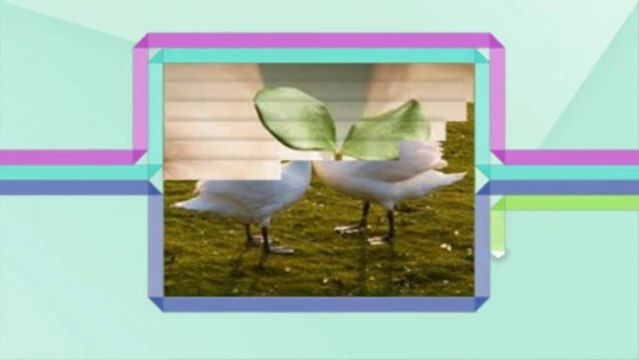 counselling in london