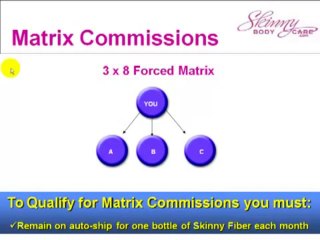 Skinny Body Care Business Presentation