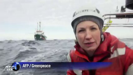 Russie: Greenpeace défie les autorités dans l'Arctique