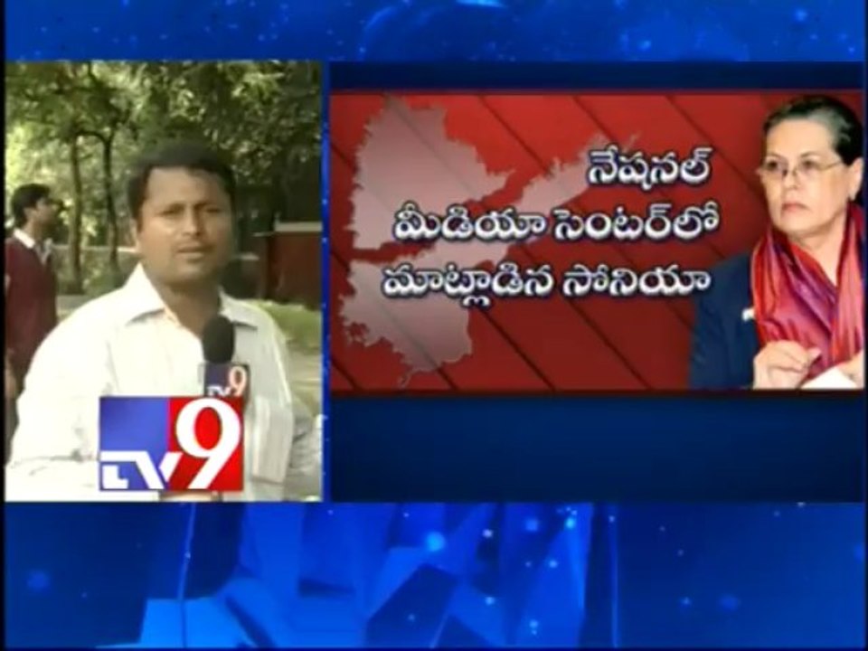 Seemandhra's concerns will be addressed in Government Committee - Sonia Gandhi