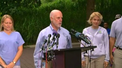 Baby panda born at US zoo