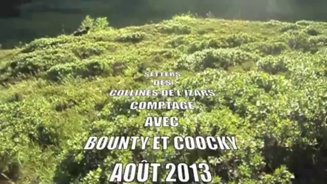 Comptage avec Bounty et Capi dit Coocky des Collines de l'Izars.