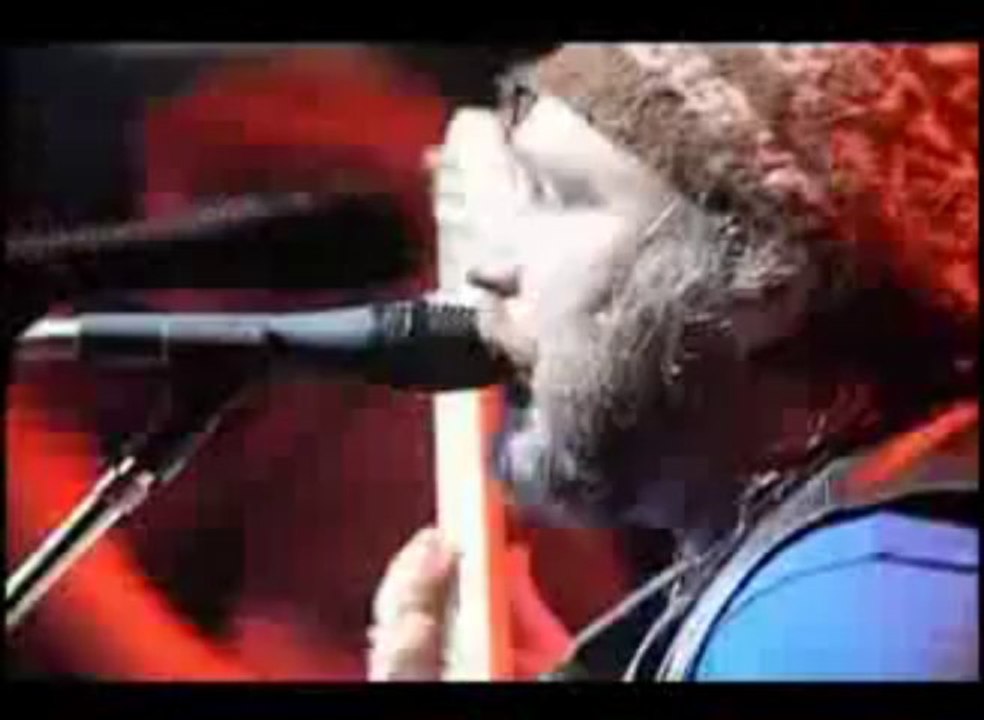 Los Fabulosos Cadillacs Mal Bicho