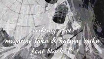 drifting spot Megurine Luka & Hatsune Miku feat black,D