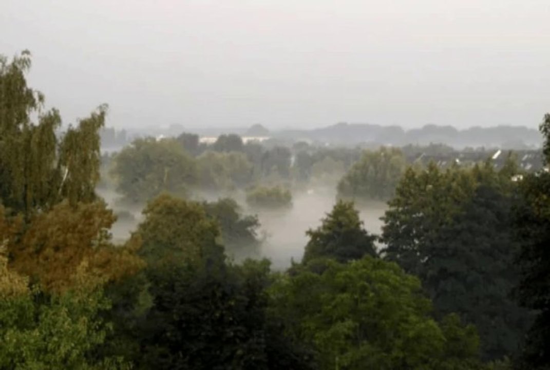 Morgennebel