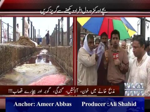 Assignment promo, slaughter house Gujrat, Ameer Abbas