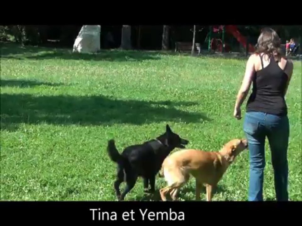 cayenne tina  obé rythmée