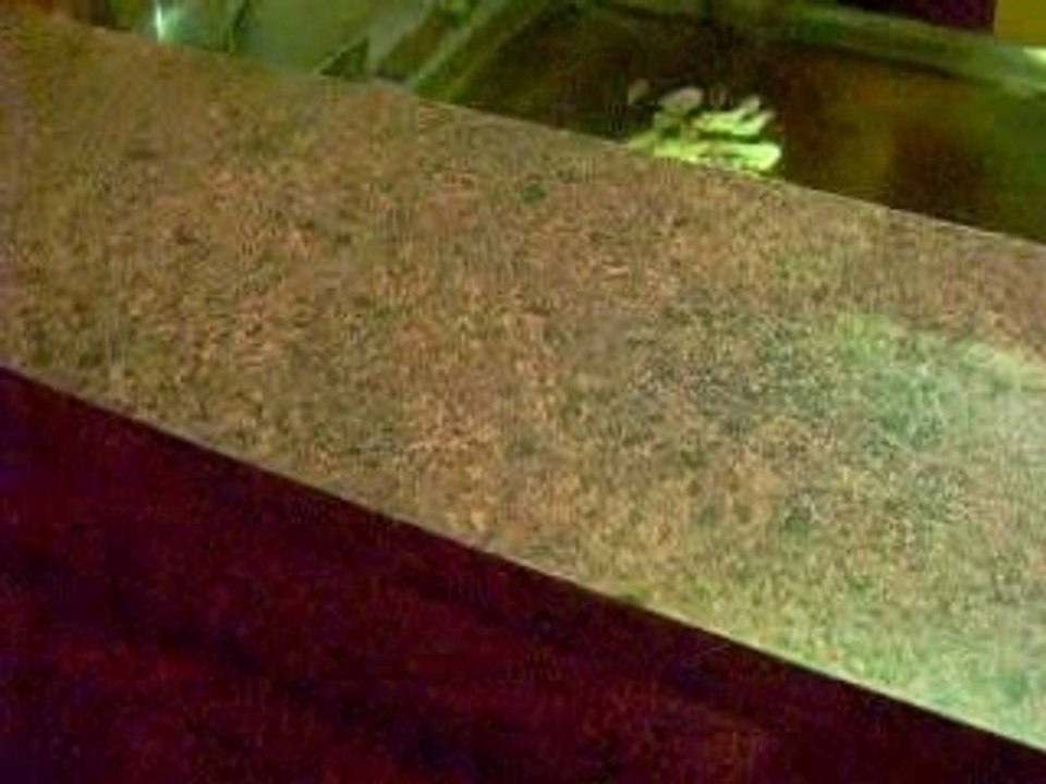 Neulich beim Mongolen