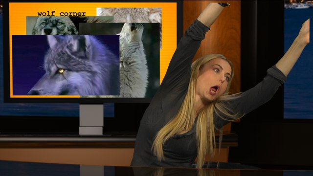 Sickness, Warm Socks, Chocolate, and Sausage