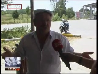 SİLİVRİ'DE DOĞA KATLİAMI