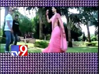 Shriya Saran to do item songs for films