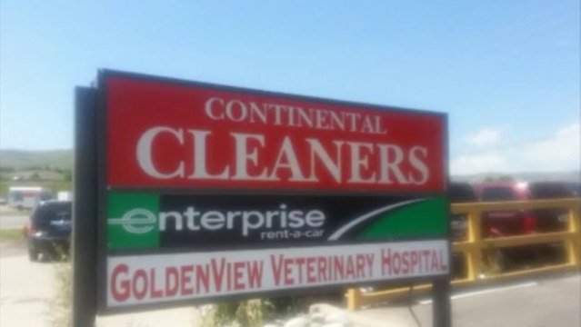 drycleaners & suede dry cleaners