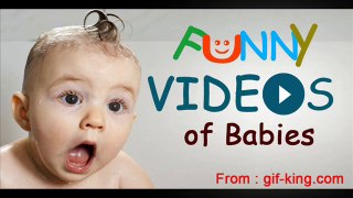 Funny videos of Babies