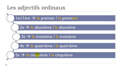 French Step-by-Step Lesson 55: Master Your Skills 🇫🇷