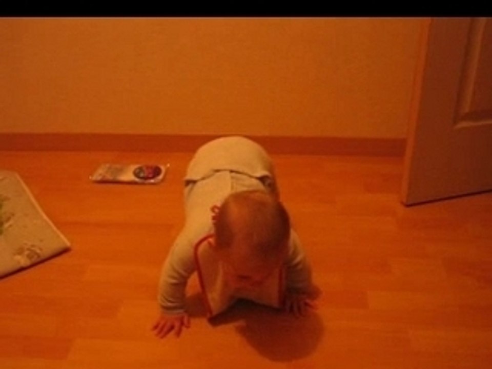 Lukas 4 pattes