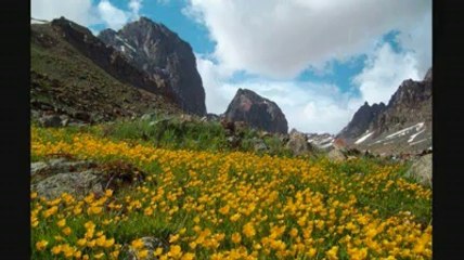 Bu Yıl Yaylaya Çıkamadım