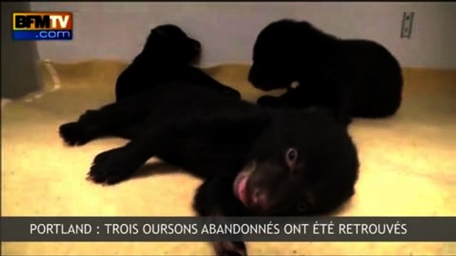 Zapping de l’Actualité - 27/02 - Le bond du prix des cigarettes, la liste de Deschamps